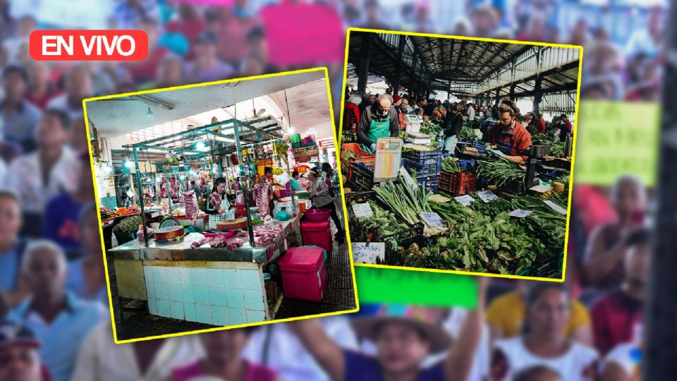 Los locatarios de la zona Oriente y Sur se concentrarán en Guadalupe I. Ramírez y Prolongación División del Norte.