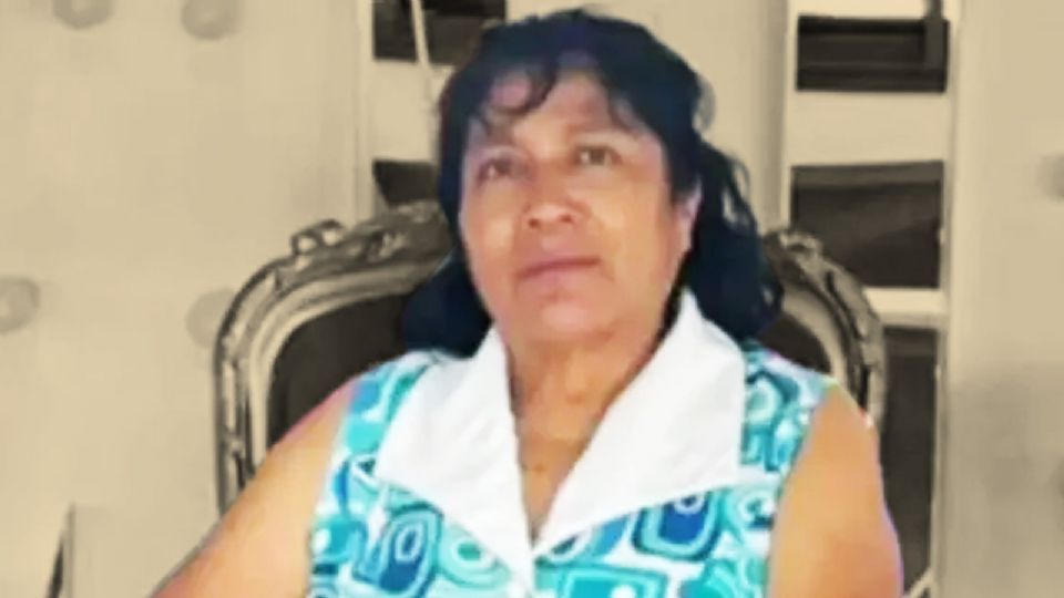 Caso maestra Irma Hernández.