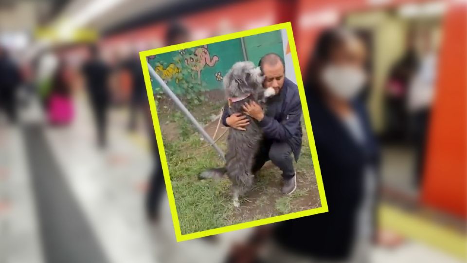 Perrita Versi fue rescatada en el Metro de la CDMX.