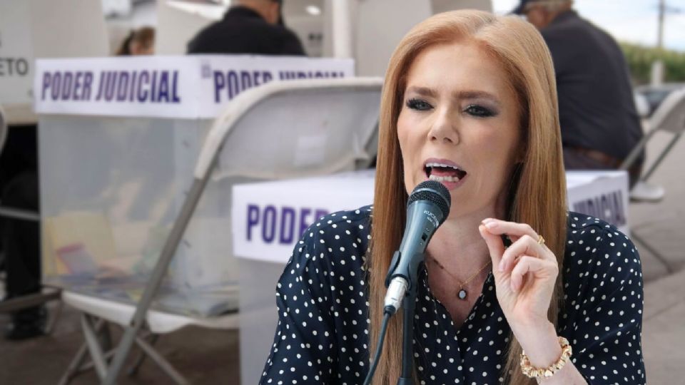 Denise Meade encabeza convocatoria nacional para anular elección judicial.