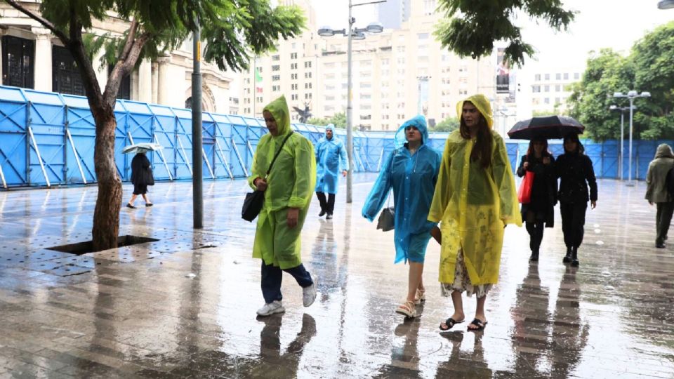 La SGIRPC, Policía capitalina y Bomberos reportaron la atención de 42 árboles y dos postes caídos y cinco cortocircuitos.