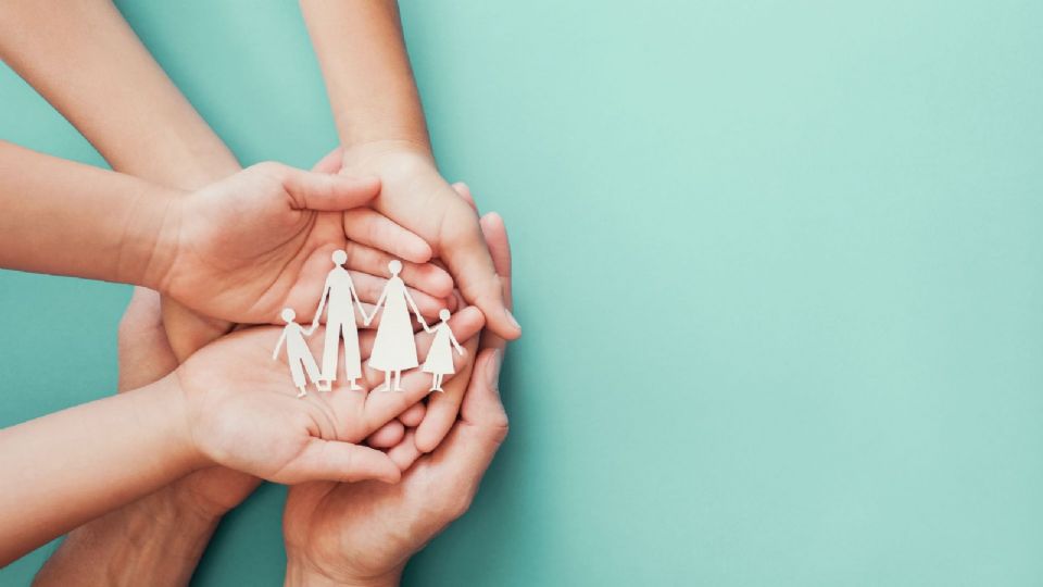 Los congresistas esperarán a que la Presidenta de la República envíe el proyecto.