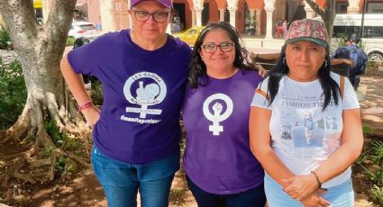 Colectivas exigen reformas para castigar violencia vicaria en Yucatán