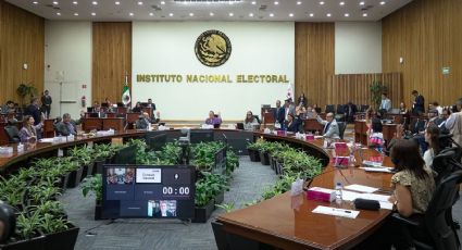 Renuncia director de Organización Electoral del INE