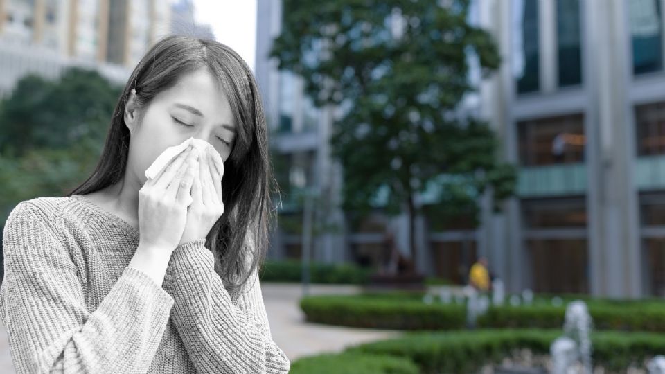 Alergias: ¿Cómo cuidarse?