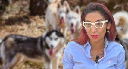 Sedema abre investigación por presunto maltrato animal relacionado con Ana Villagrán