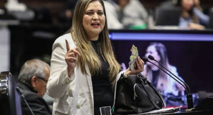 Presentan iniciativa que retira Visa o residencia a extranjeros que cometan discriminación en México