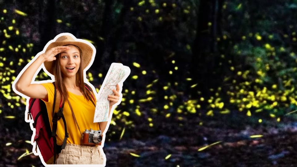 Aunque la experiencia es para nivel principiantes, si requieres cierta condición física.