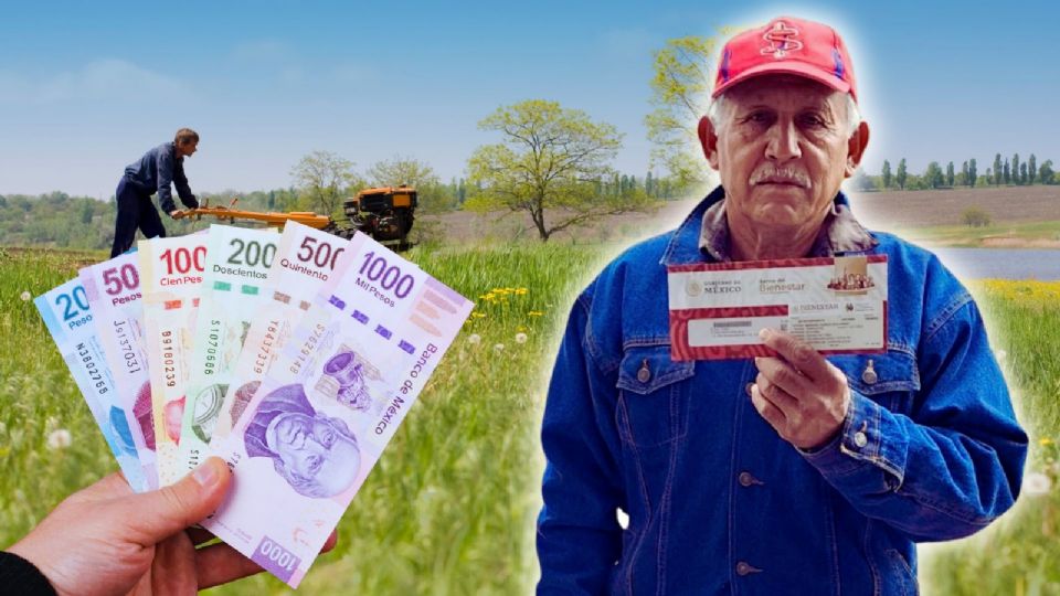 El pasado 1 de julio dio inicio el pago de la Pensión Bienestar correspondiente al bimestre julio-agosto.