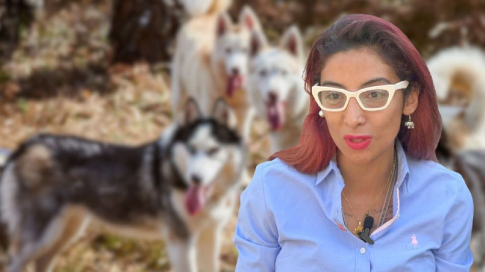 Las miradas están puestas en Ana Villagrán, titular de la Agatan, por presunto maltrato animal.