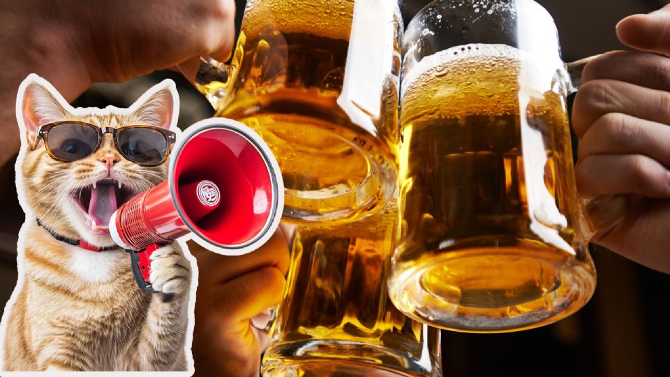 Durante agosto se celebran fechas internacionales relevantes como el Día Internacional de la Cerveza y el Día Internacional del Gato.