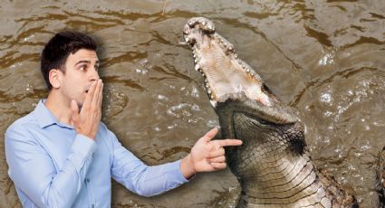 VIDEO | Identifican al adulto mayor rescatado del ataque de un cocodrilo en Tamaulipas