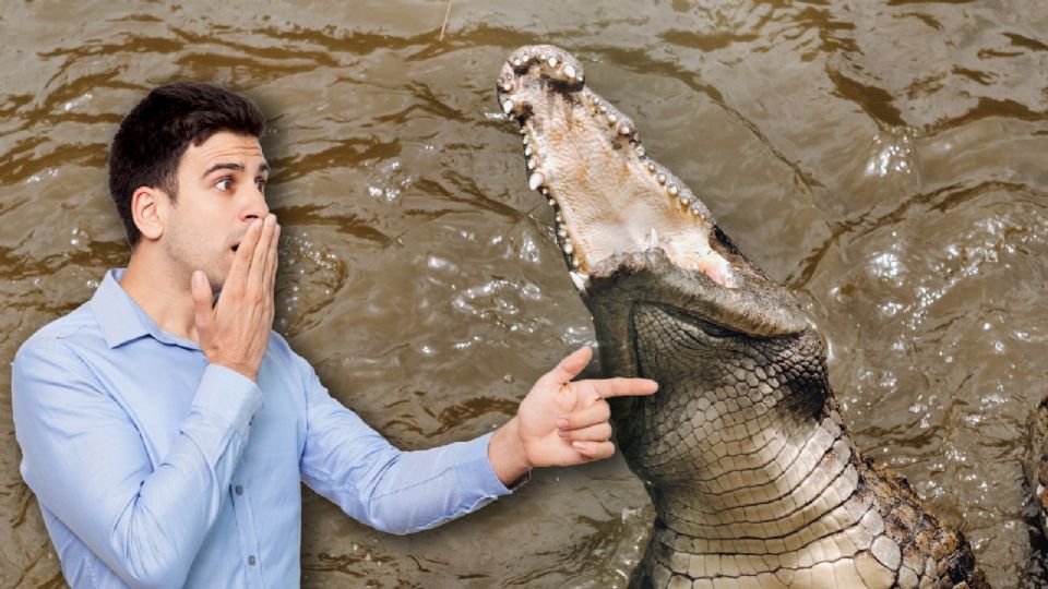 El canal de la Cortadura, que conecta el centro de Tampico con la Laguna del Carpintero, es conocido por su rica fauna y flora, incluyendo a los emblemáticos cocodrilos.