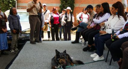 Gobierno supervisa afectaciones por lluvias en Iztacalco