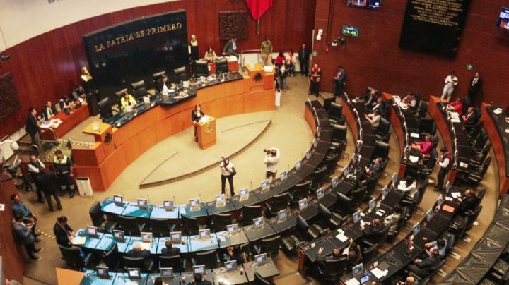 Pide PT en el Senado se precise redacción del Plan B de la Reforma Electoral
