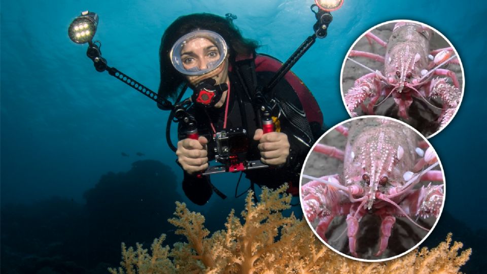 La verdadera misión científica explora a casi 4 mil metros de profundidad con tecnología de última generación.