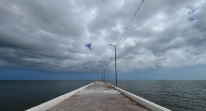 Marea roja afecta al puerto de Chuburná: pescadores resentidos por pérdida de temporada de pulpo