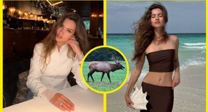 Miss Universo y tragedia en Rusia: el accidente con un alce que terminó con la vida de Kseniya Alexandrova