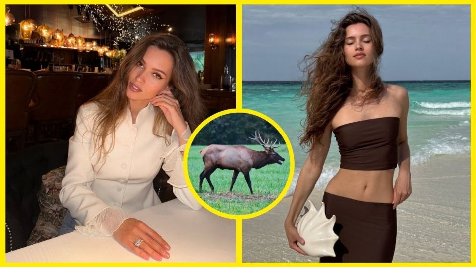 ¿Quién era Kseniya Alexandrova, Miss Universo Rusia que perdió la vida en un accidente con un alce?