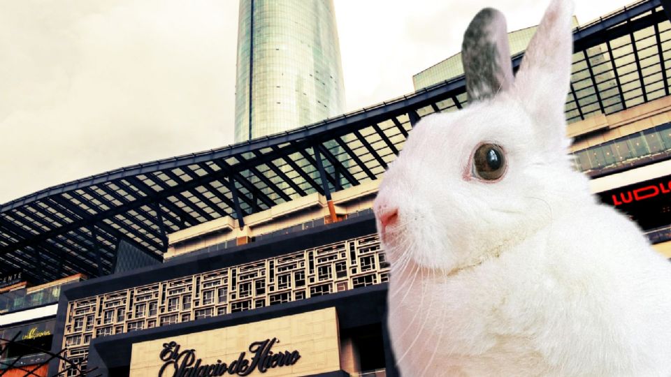 Plaza Mítikah y conejo con tentáculos.