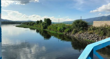 A la mitad de la temporada de lluvias, las presas están a la mitad de su capacidad