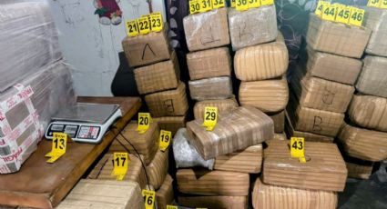 Catean casa en la colonia Fabriles en Monterrey; aseguran más de 700 kilos de marihuana