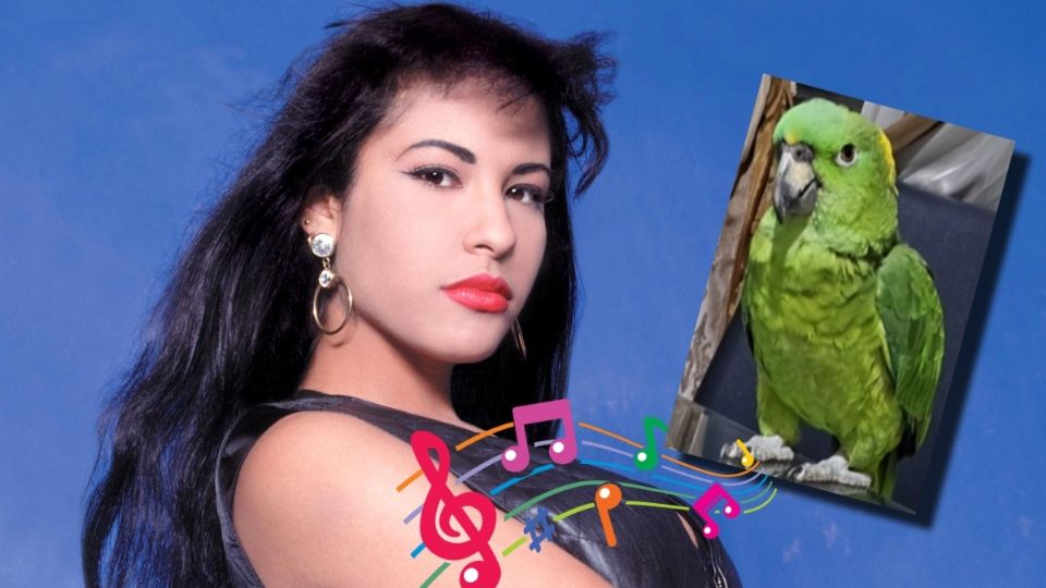 El loro Aguacate rompe las redes sociales interpretando a Selena, aunque esas no son todas sus gracias.