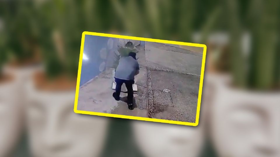 El negocio afectado ha solicitado el apoyo de la población para recuperar la maceta.