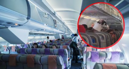 VIDEO | Así fue como un gran danés viajó en la cabina de un avión y se volvió viral