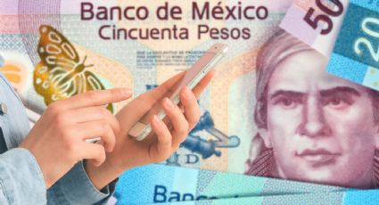 ¿Se puede identificar un billete falso con la cámara del celular?