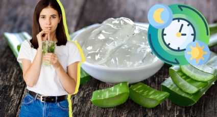 El secreto del aloe vera: la hora del día que maximiza sus propiedades