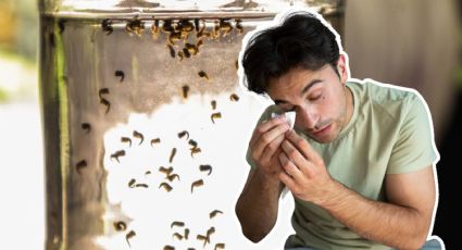 Secretaría de Salud emite alerta por dengue: estos son los síntomas que no debes ignorar