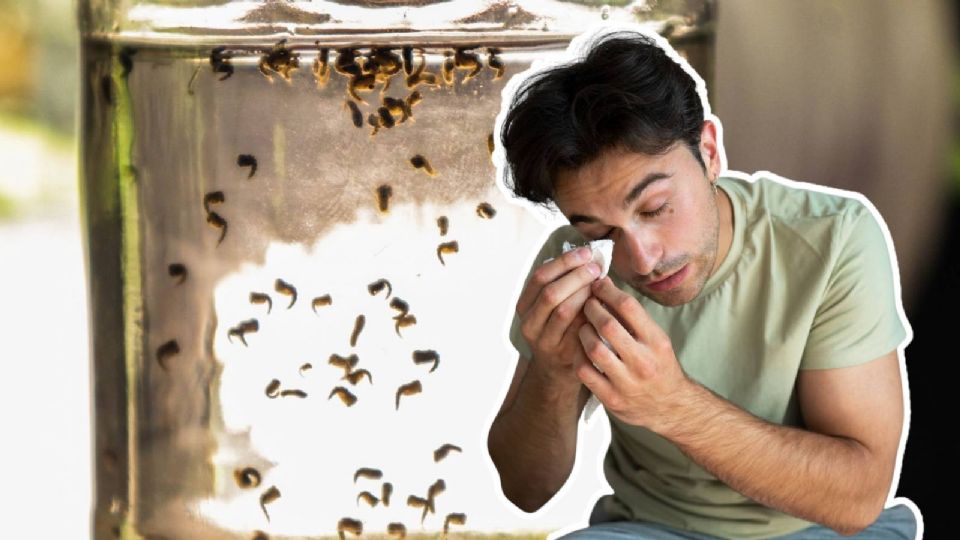 El problema del dengue vive su máximo apogeo en la época de lluvias