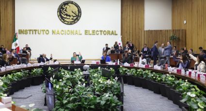 INE deja vacantes 16 consejerías en OPLEs