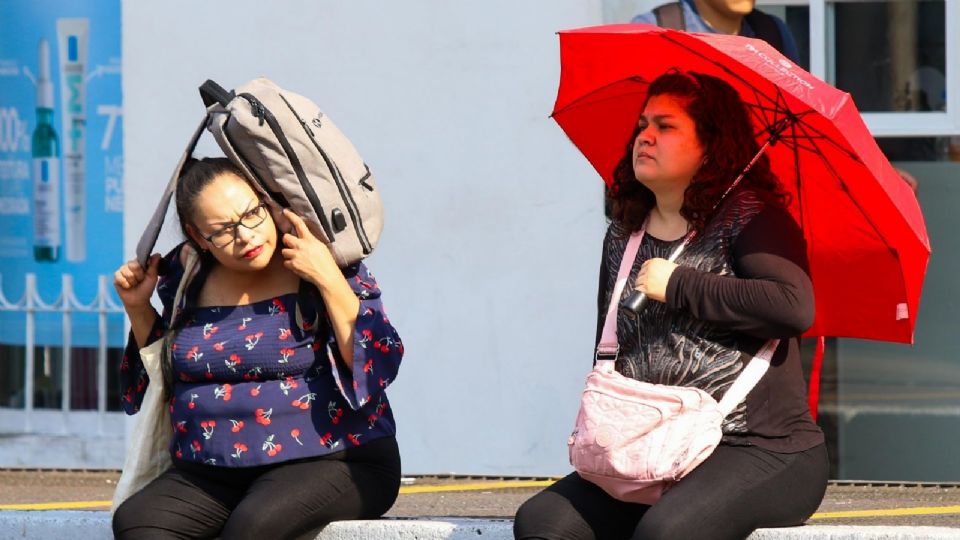 Durante el Seminario virtual Islas de Calor Urbanas en la Megalópolis se urgió a llevar a cabo acciones en territorio y a nivel cultural para revertir el incremento de la temperatura.