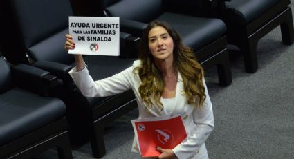 ‘Industria de la construcción en Sinaloa se encuentra en crisis’, Paloma Sánchez Ramos