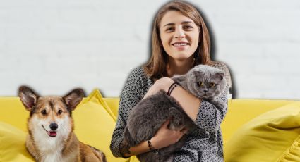 ¿Qué pasará con tu mascota en caso de divorcio? Así funciona la nueva reforma en la CDMX
