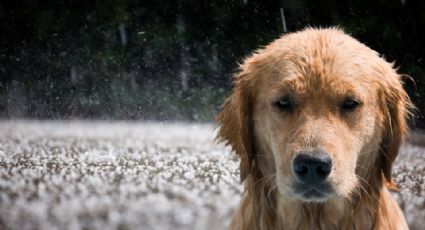 Clima en Monterrey: ¿Lloverá este sábado 23 de agosto?