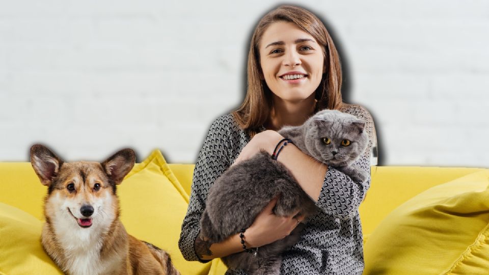 CDMX aprueba custodia de mascotas en divorcios: lo que debes saber.