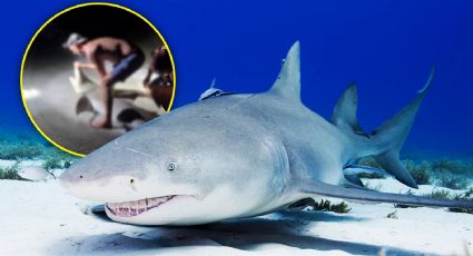 VIDEO | Hombre es mordido por un tiburón al intentar tomarse una foto en Florida