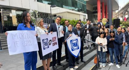 PAN ofrece a ciudadanos amparo contra la llamada 'Ley Espía'