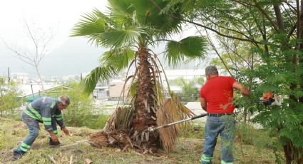 Monterrey inicia limpieza masiva en escuelas previo al regreso a clases