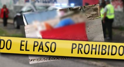 Asesinan a María de Jesús, hermana de 'El Conejo Toys' ¿Qué se sabe del caso?