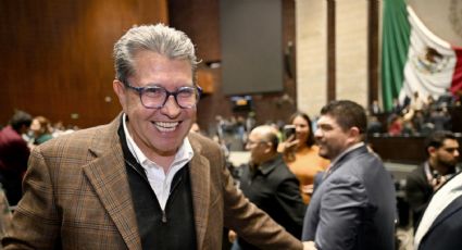 Paso libre y gratuito a playas y áreas naturales protegidas, propone Monreal