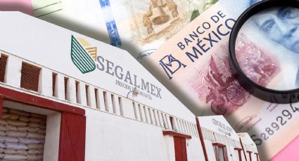 El escándalo de Segalmex: ¿Cómo se desvió el apoyo a los pobres?