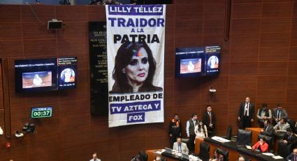Discuten caso Lilly Téllez, quien pidió el apoyo de EU para combatir al crimen organizado en México