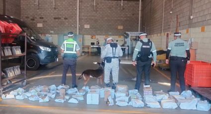 Decomisa GN narcóticos y vapeadores en empresa de paquetería