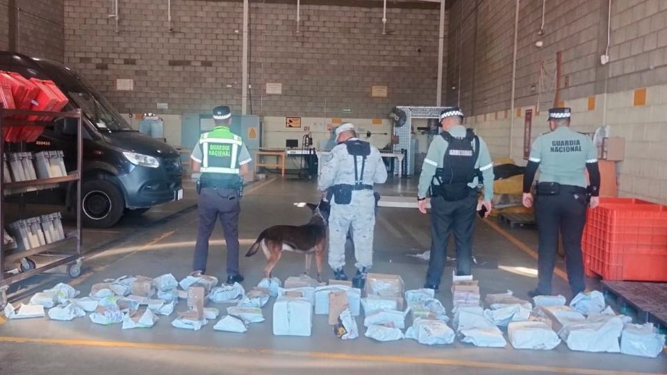 El material ilícito asegurado fue embalado y puesto a disposición del ministerio público.