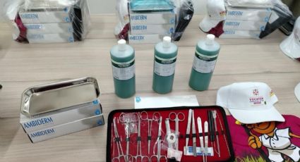 Gobierno del Estado intensifica control del gusano barrenador en Yucatán