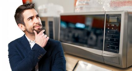 'Lo fascinante es que el microondas nació de la casualidad'. Fernanda Torres